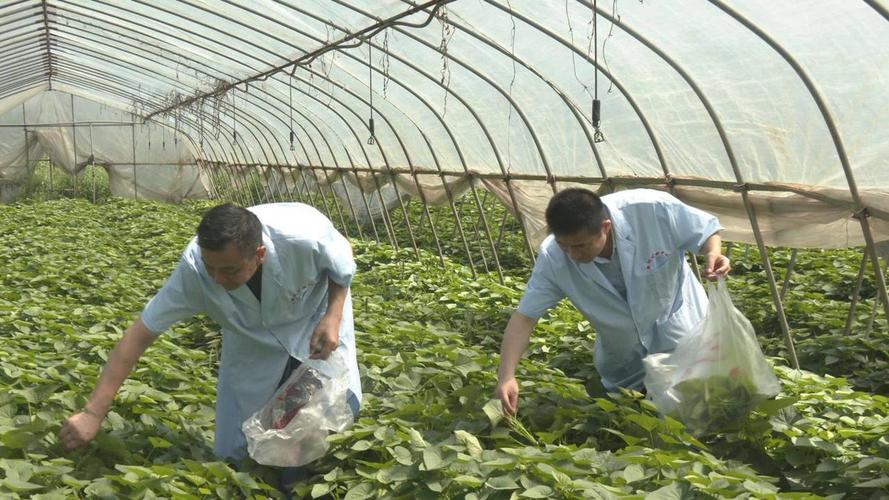 新洲区公共检验检测中心送服务下乡 解技术难题